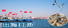 體驗(yàn)漁民生活-樂亭出海捕魚