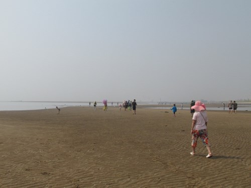 2020年月坨島旅游攻略_月坨島玩一次多少錢